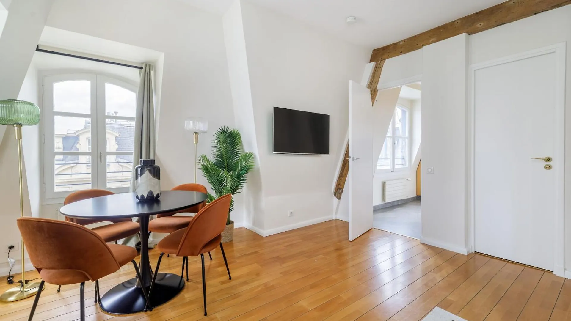 Luxury Apartments - Avenue Montaigne Paris France